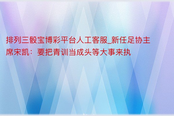 排列三骰宝博彩平台人工客服_新任足协主席宋凯：要把青训当成头等大事来执